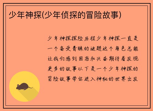 少年神探(少年侦探的冒险故事)